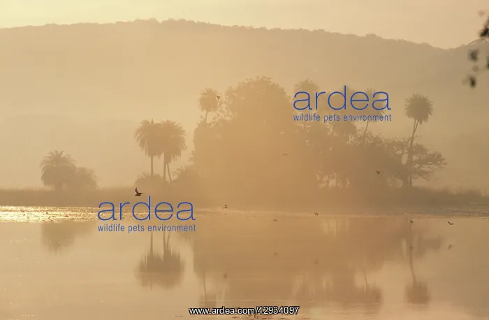 : INDIA - Rajbagh, Main lake in : INDIA - Rajbagh, Main lake in