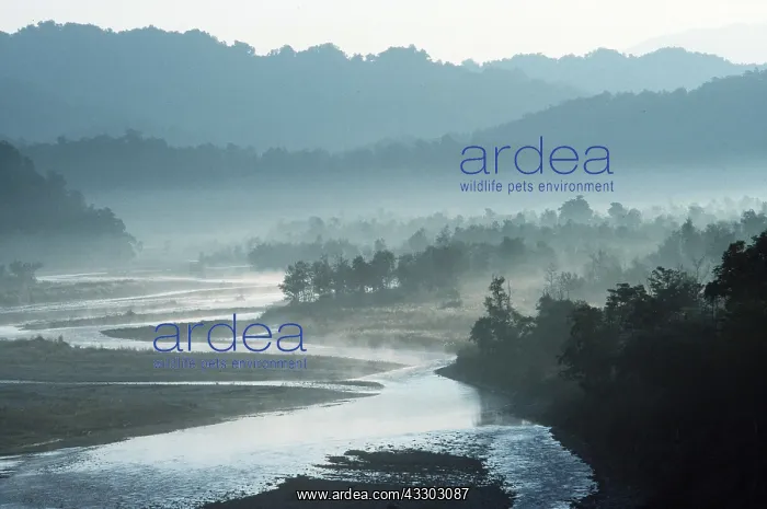: India - River Ramganga at dawn : India - River Ramganga at dawn