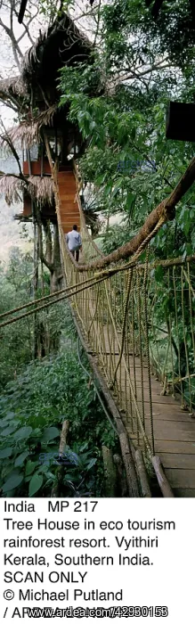 : INDIA - tree house in eco-tourism rainforest resort : INDIA - tree house in eco-tourism rainforest resort