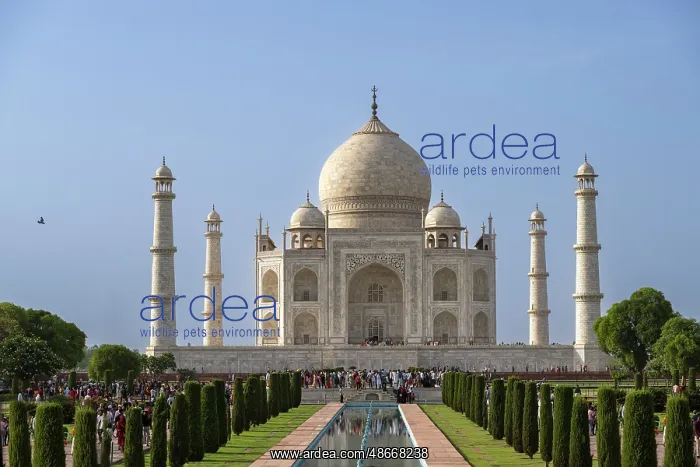 : India, Uttar Pradesh, Agra. Taj Mahal, tomb of Shah Jahan's : India, Uttar Pradesh, Agra. Taj Mahal, tomb of Shah Jahan's