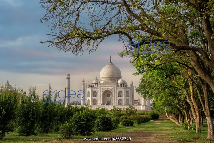 : India, Uttar Pradesh, Agra. Taj Mahal, seen from an orchard : India, Uttar Pradesh, Agra. Taj Mahal, seen from an orchard