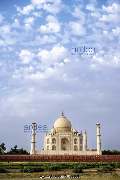 : India, Uttar Pradesh, Agra. Taj Mahal, in wide angle : India, Uttar Pradesh, Agra. Taj Mahal, in wide angle