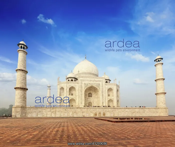 : Indian famous landmark, India travel background : Indian famous landmark, India travel background