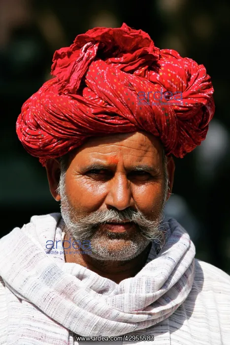 : Indian male : Indian male
