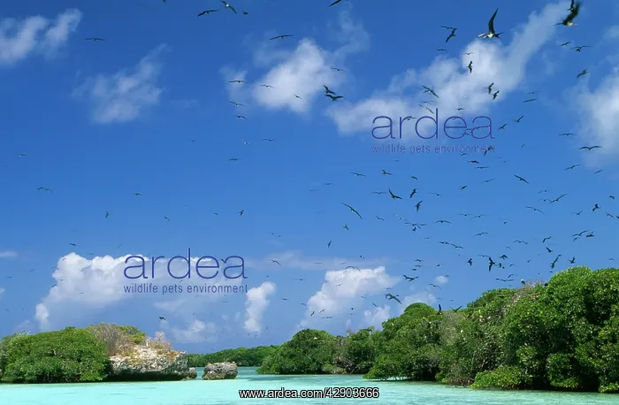 : INDIAN OCEAN - ALDABRA : INDIAN OCEAN - ALDABRA