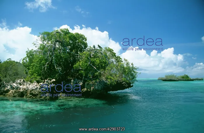 : INDIAN OCEAN - ALDABRA : INDIAN OCEAN - ALDABRA