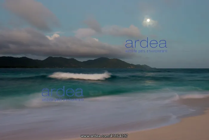 : Indian Ocean and Praslin in moonlight : Indian Ocean and Praslin in moonlight