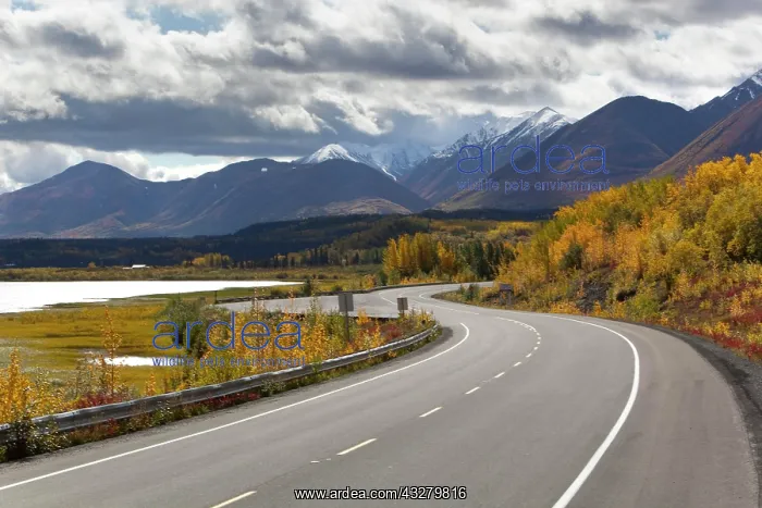 : Indian Summer, autumn along Dezadeash Lake, Haines : Indian Summer, autumn along Dezadeash Lake, Haines
