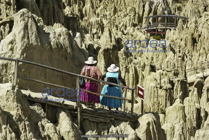 : Indigenous woman in traditional dress admire the : Indigenous woman in traditional dress admire the
