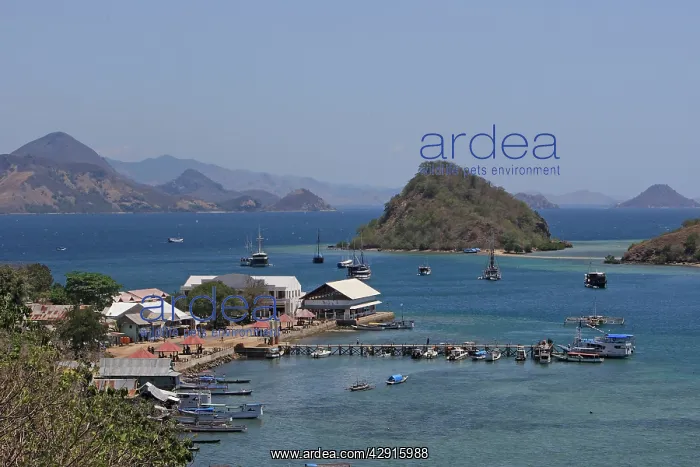 : Indonesia. Labuan Bajo Park - Flores Island : Indonesia. Labuan Bajo Park - Flores Island