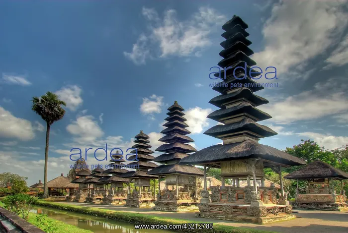 : Indonesia, Bali, Mengwi. Scenic of Pura : Indonesia, Bali, Mengwi. Scenic of Pura