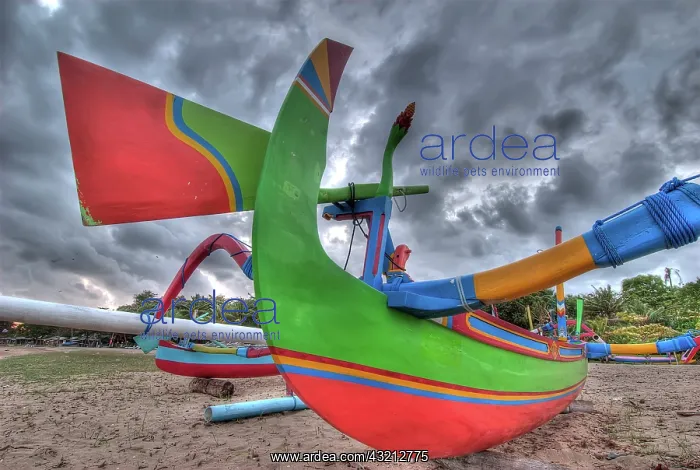 : Indonesia, Bali. Outrigger boats, called : Indonesia, Bali. Outrigger boats, called