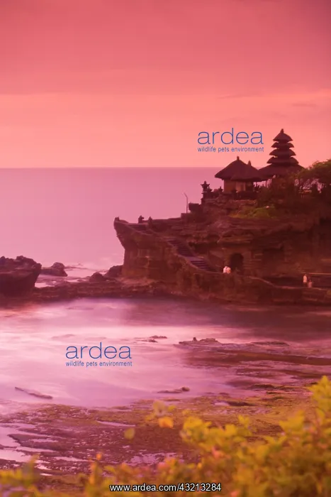 : Indonesia, Bali Province, Tabanan City : Indonesia, Bali Province, Tabanan City