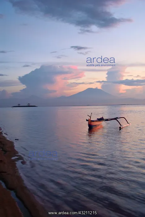  : Indonesia, Bali. Sunrise on fishing boat