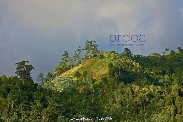  : Indonesia, Central Sulawesi, UNESCO World