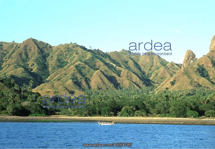 : Indonesia - Komodo Island, view from water : Indonesia - Komodo Island, view from water