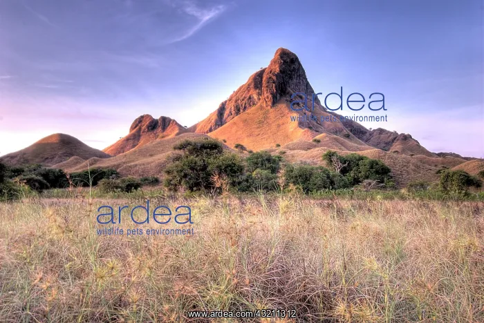  : Indonesia, Komodo National Park, Padar Island