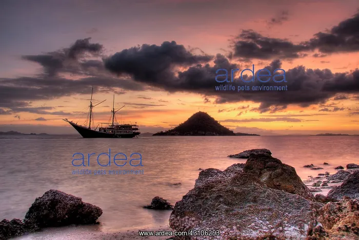: Indonesia, Komodo National Park. Sunset : Indonesia, Komodo National Park. Sunset