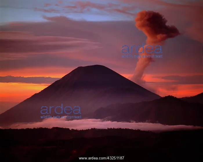 : Indonesia. Mt. Semeru emits a plume of smoke : Indonesia. Mt. Semeru emits a plume of smoke