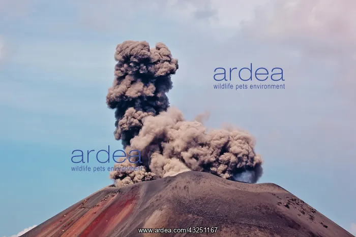 : Indonesia, Sumatra, Java, Anak Krakatau : Indonesia, Sumatra, Java, Anak Krakatau
