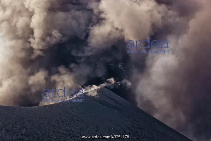 : Indonesia, Sumatra, Java, Anak Krakatau : Indonesia, Sumatra, Java, Anak Krakatau