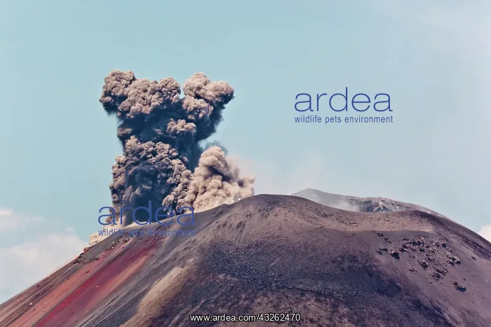 : Indonesia, Sumatra, Java, Anak Krakatau : Indonesia, Sumatra, Java, Anak Krakatau