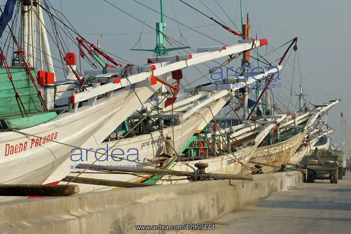 : Indonesian boats - Phinisi tradional sailing boats : Indonesian boats - Phinisi tradional sailing boats