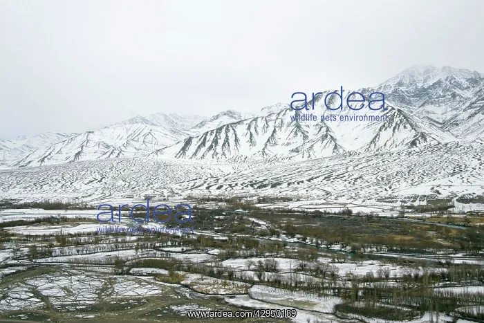 : Indus Valley in Ladakh - winter scene : Indus Valley in Ladakh - winter scene