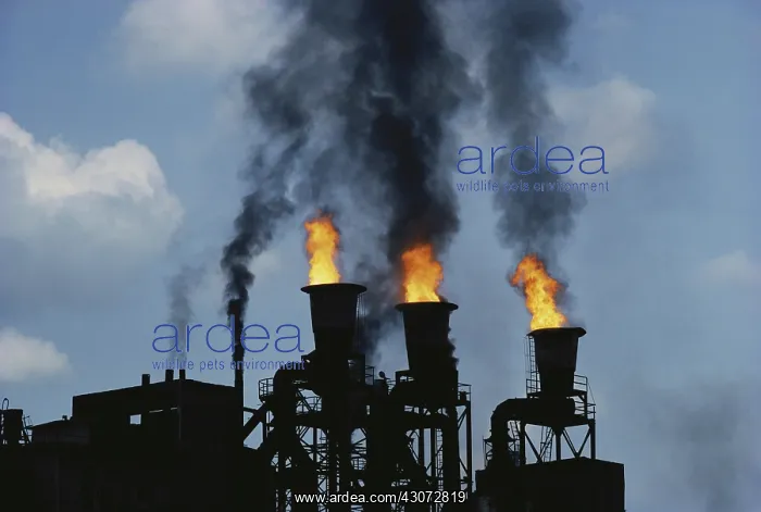 : Industrial Plant : Industrial Plant