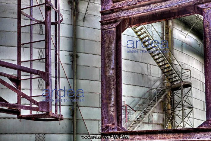 : Industrial plant, tank with rusty stairs, Landschaftspark : Industrial plant, tank with rusty stairs, Landschaftspark