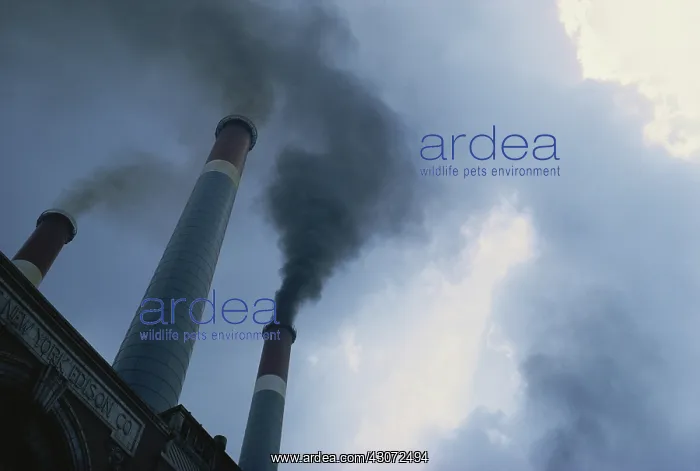 : Industrial Pollution : Industrial Pollution