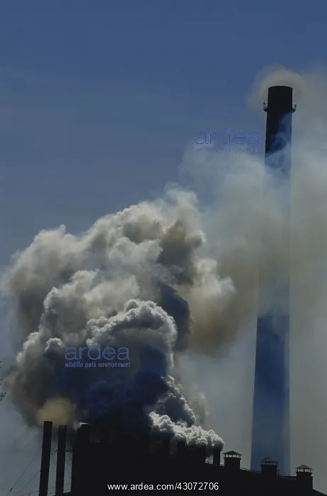 : Industrial Smokestacks : Industrial Smokestacks