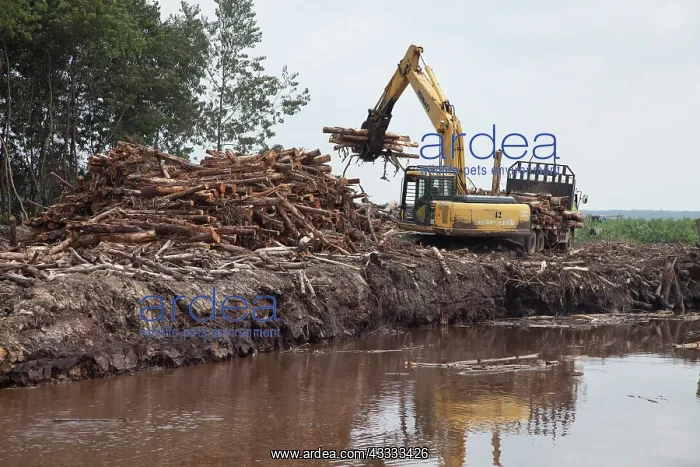 : Industrial timber plantation, Harvesting timber : Industrial timber plantation, Harvesting timber