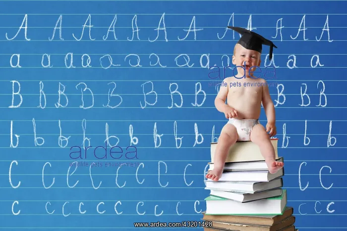 : Infant wearing a graduation cap sitting on a pile : Infant wearing a graduation cap sitting on a pile