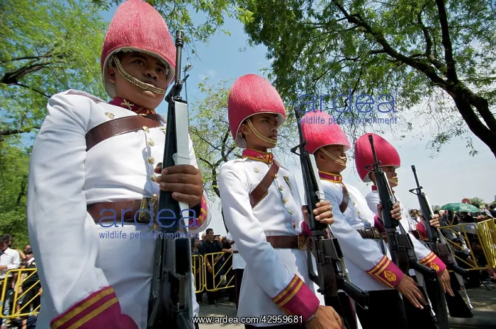 : Infantry guards at royal cremation of Princess : Infantry guards at royal cremation of Princess