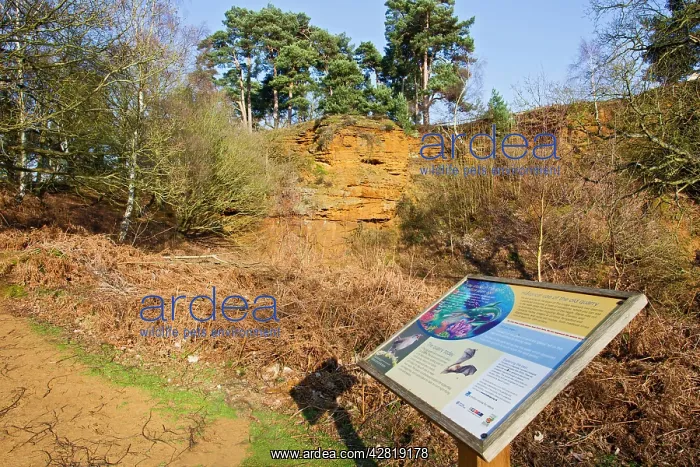: Information board at sandstone quarry : Information board at sandstone quarry