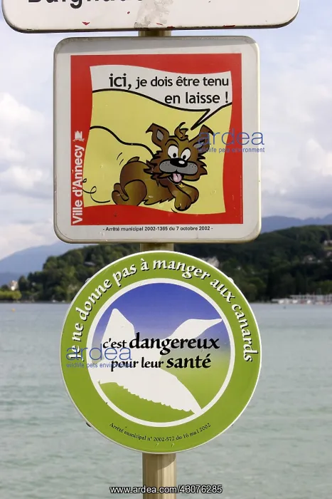 : Information panels to keep dogs on a leash : Information panels to keep dogs on a leash
