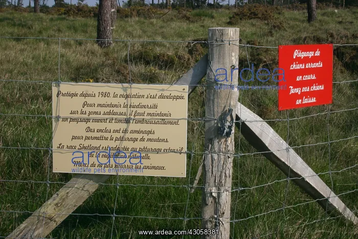 : Information panels on the protection of an heath France : Information panels on the protection of an heath France