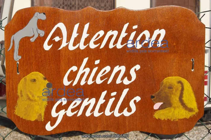 : Information Sign Caution Dog friendly France : Information Sign Caution Dog friendly France