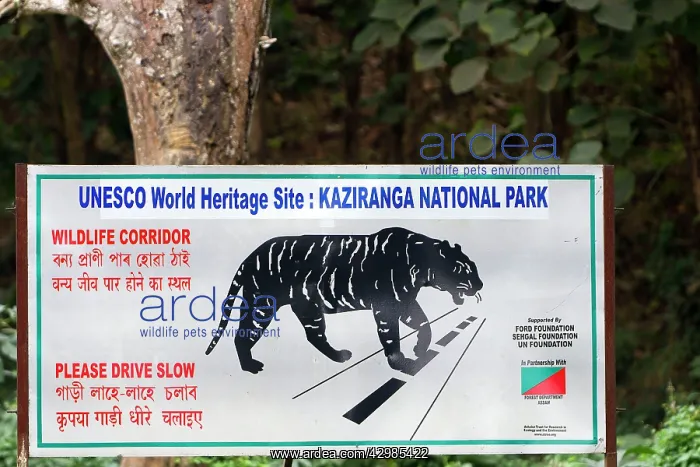 : Information Sign about the Tiger - UNESCO World : Information Sign about the Tiger - UNESCO World