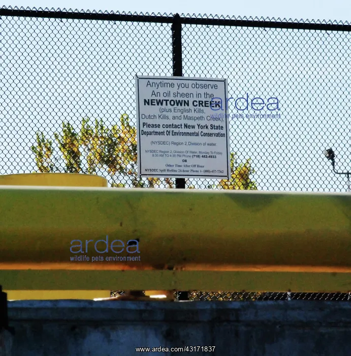 : Informational Sign, Newton Creek Superfund Site, NYC : Informational Sign, Newton Creek Superfund Site, NYC
