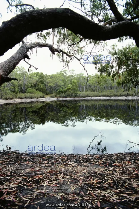 : Ink Pot Lake, Australia : Ink Pot Lake, Australia