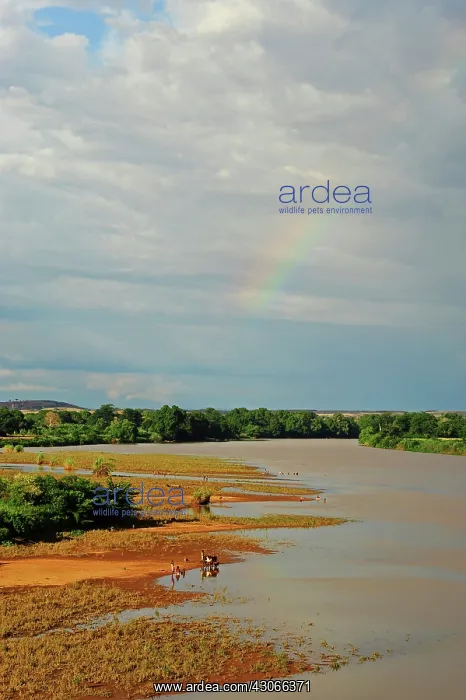 : Inland Madagascar. Red river amid vegetation : Inland Madagascar. Red river amid vegetation