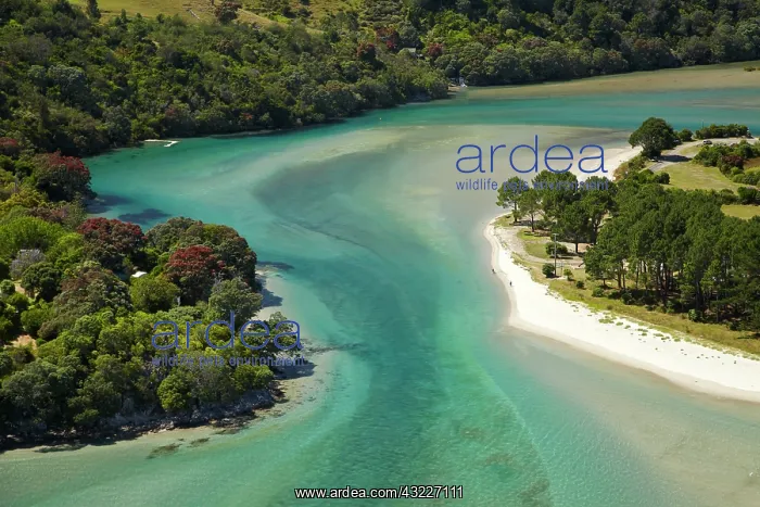 : Inlet, Cooks Beach, Coromandel Peninsula : Inlet, Cooks Beach, Coromandel Peninsula