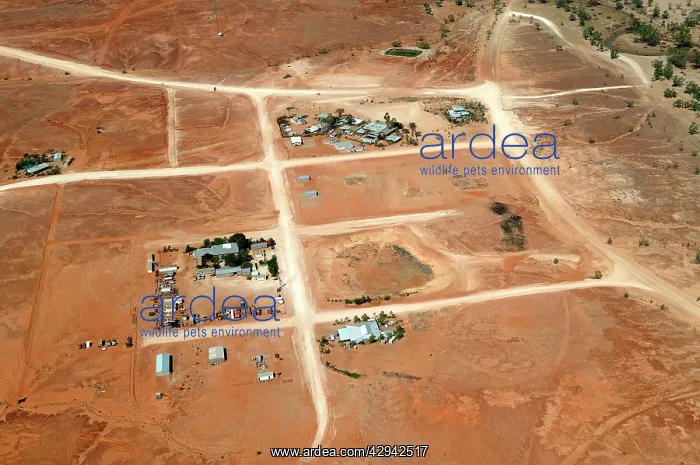 : Innamincka township. South Australia : Innamincka township. South Australia