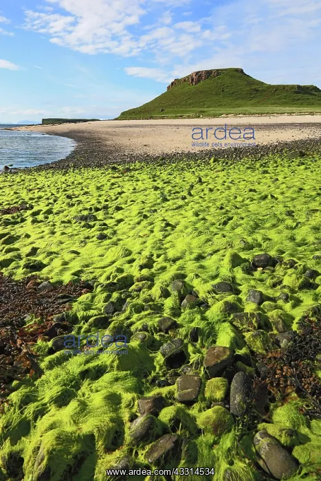 : Inner Hebrides, Isle of Skye, Duirinish Peninsula : Inner Hebrides, Isle of Skye, Duirinish Peninsula