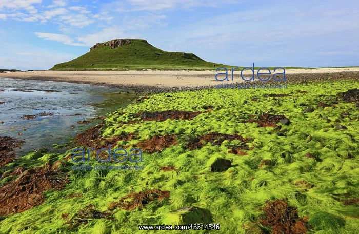 : Inner Hebrides, Isle of Skye, Duirinish Peninsula : Inner Hebrides, Isle of Skye, Duirinish Peninsula