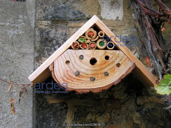  : Insect  /  Bug Box  /  Nest Box - in garden