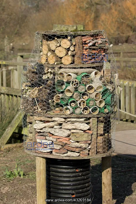 : Insect or bug hotel built using a variety of materials : Insect or bug hotel built using a variety of materials