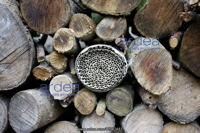 : Insect or bug hotel made from plastic bottle and : Insect or bug hotel made from plastic bottle and